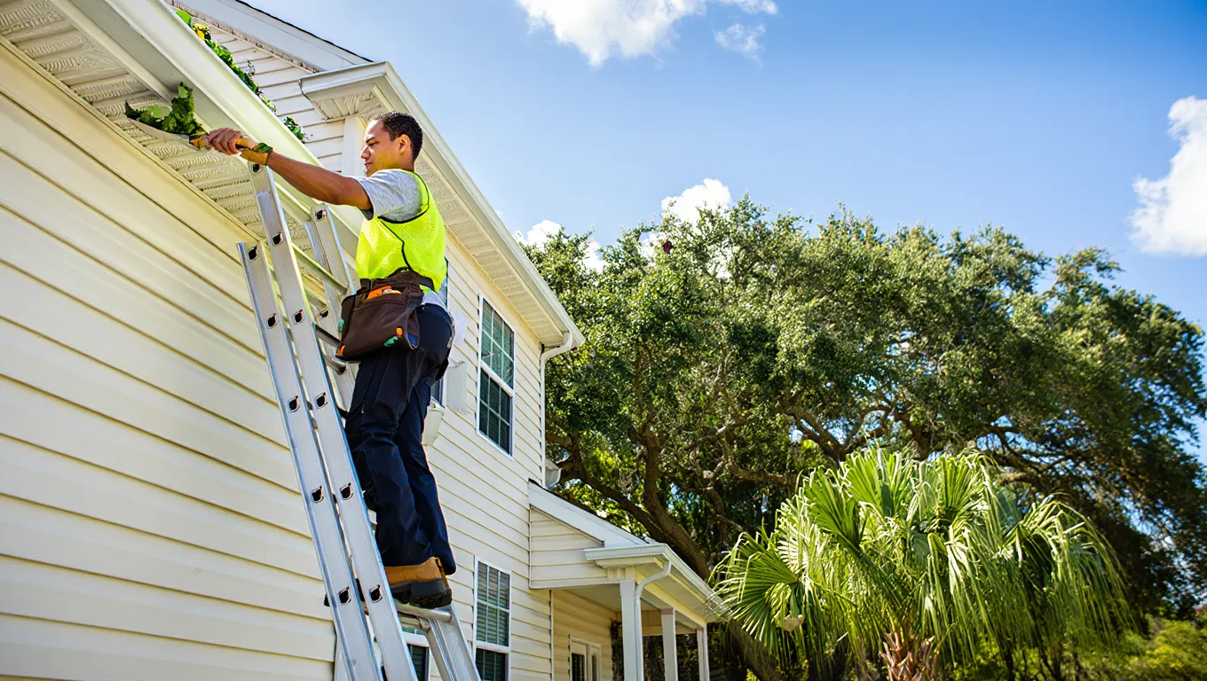Fall Gutter Cleaning in Jacksonville: Pine Needle Season Guide
